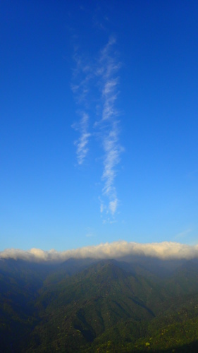 b0160957_12222467.jpg