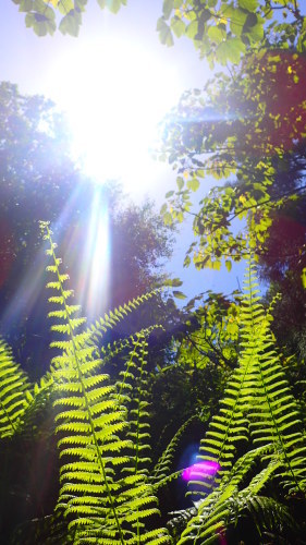 b0160957_12314350.jpg