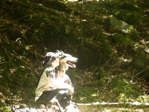 b0160957_12324733.jpg