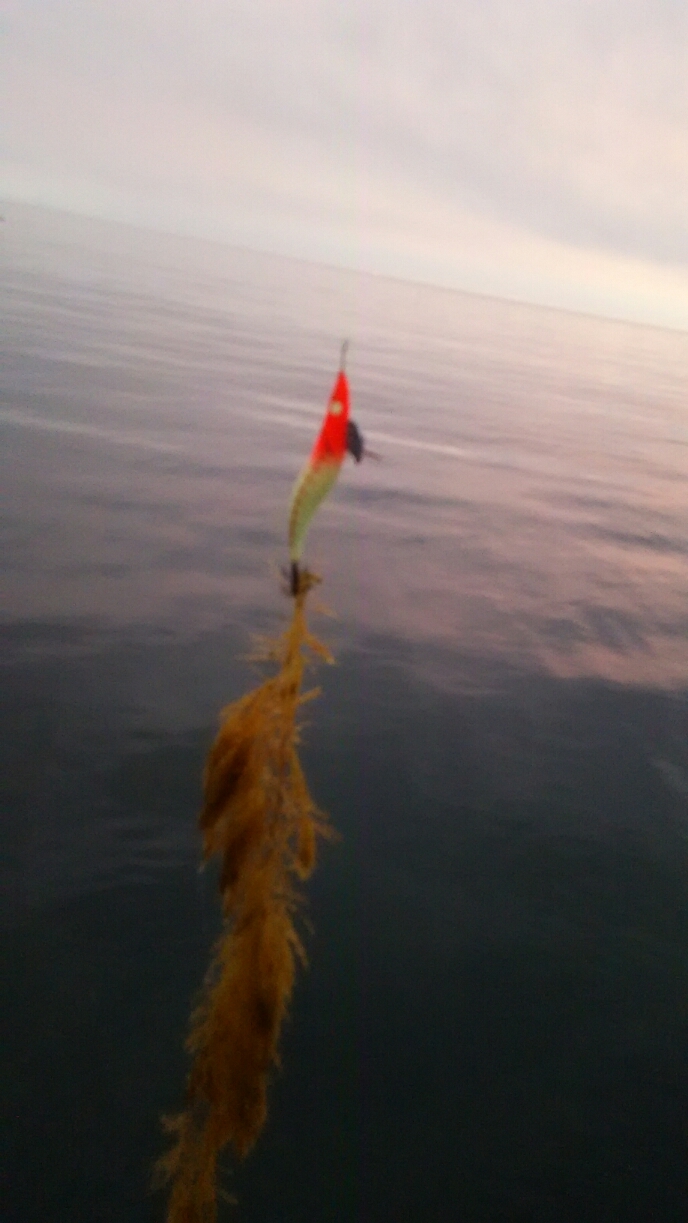 d0254257_09445368.jpg
