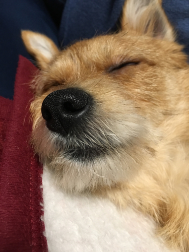 f0201657_12473841.jpg