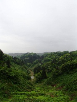 b0079965_04065997.jpg
