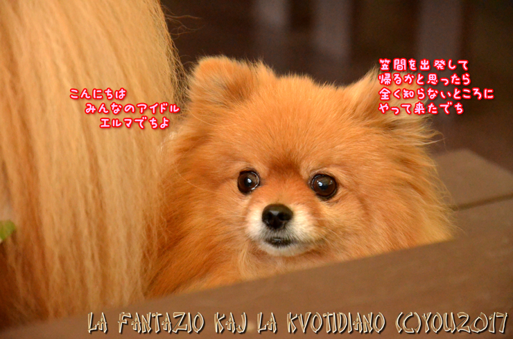 a0004070_11005609.jpg