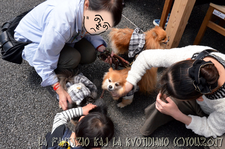 a0004070_23232720.jpg