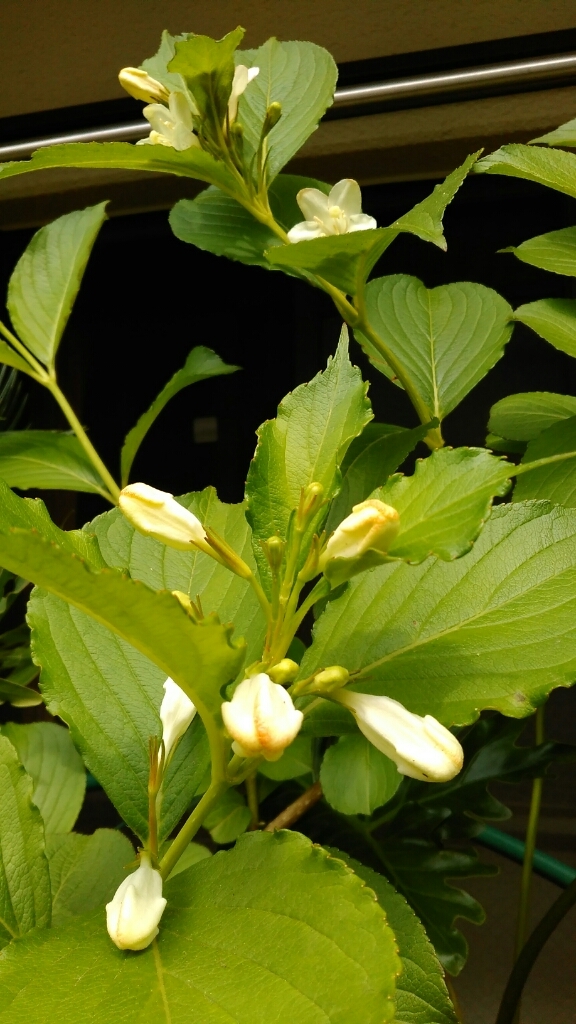 c0162773_00260818.jpg