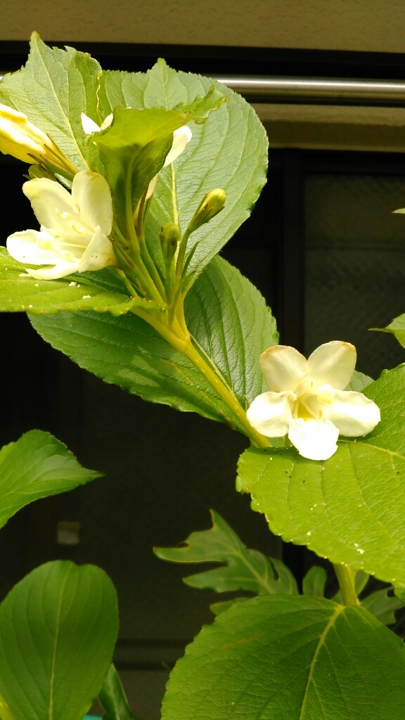 c0162773_00261283.jpg