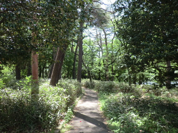 d0225173_947018.jpg