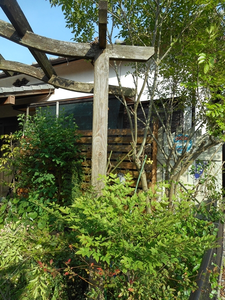 f0366679_23205772.jpg