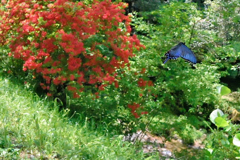 f0031682_05484074.jpg