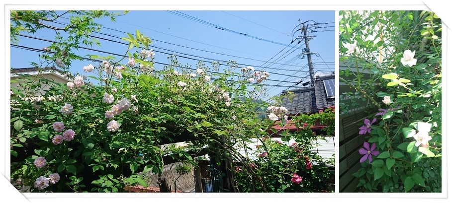 e0223684_21281849.jpg