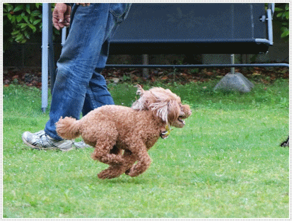 b0175688_00114661.gif