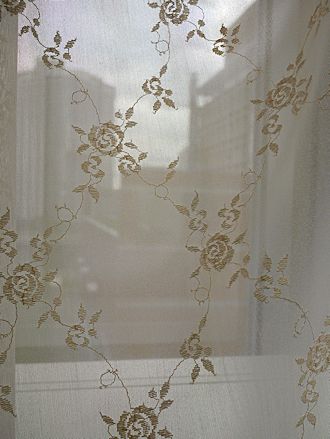 c0090198_2141545.jpg