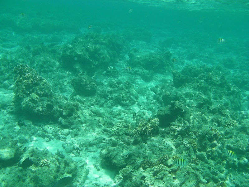 d0133704_16282972.jpg