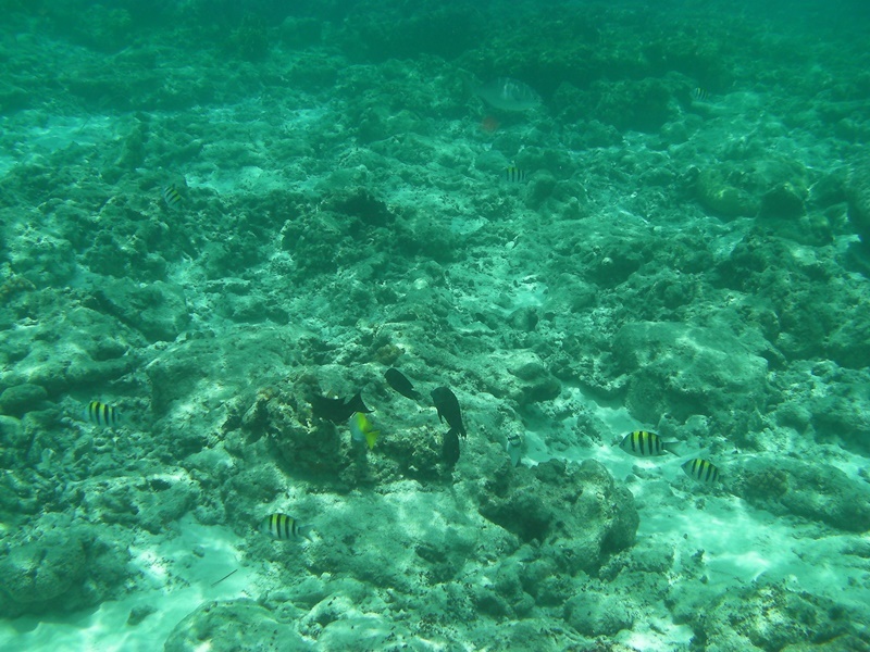 d0133704_16284609.jpg