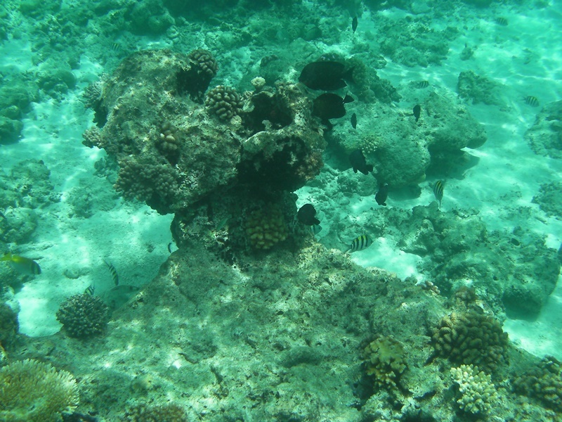 d0133704_16284819.jpg