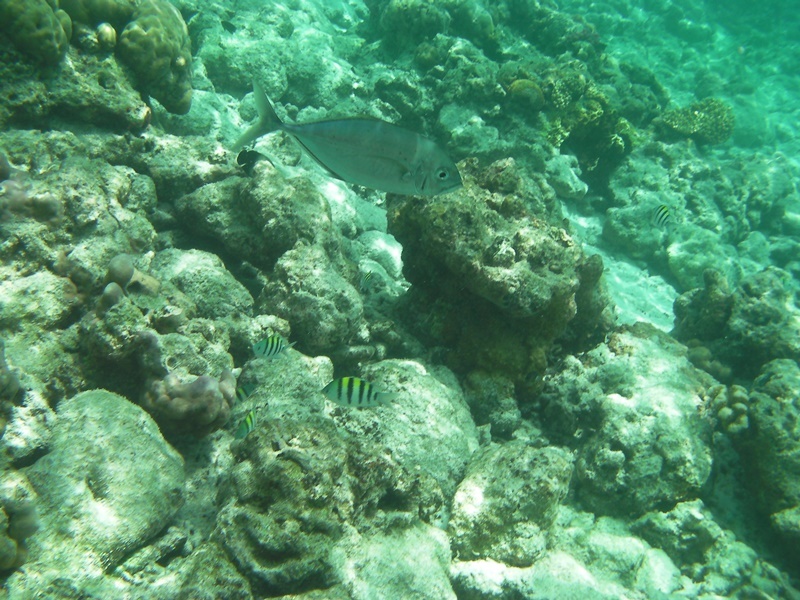 d0133704_16285107.jpg