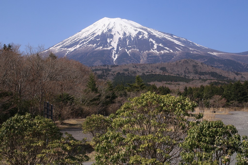 a0188405_09412961.jpg