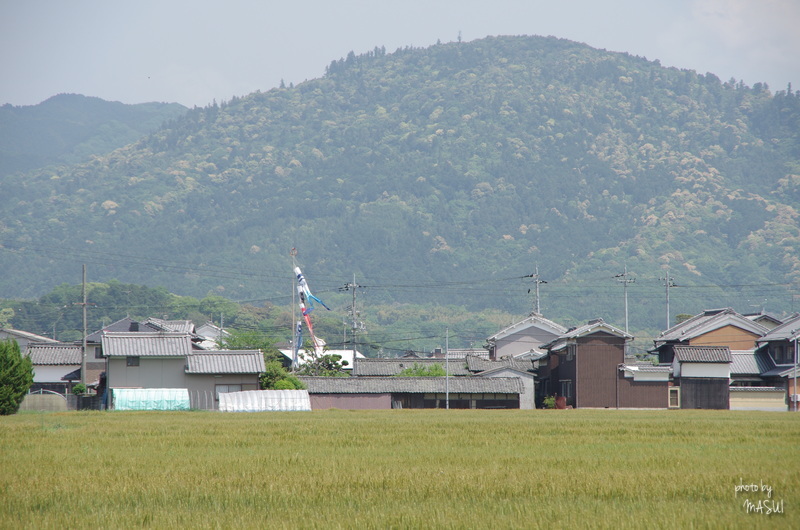 d0342307_20035475.jpg