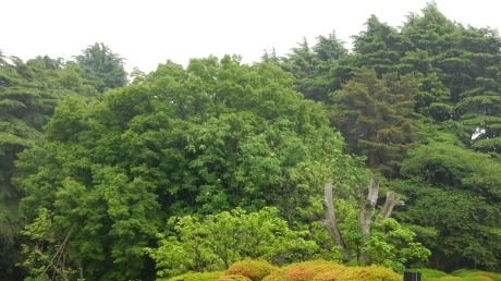 f0231709_20140470.jpg
