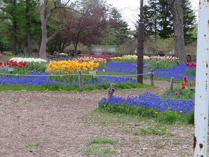 f0325309_17354334.jpg
