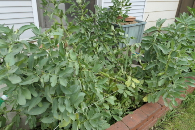 f0369014_09054359.jpg