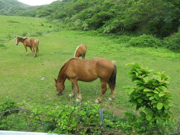 e0350415_05494985.jpg