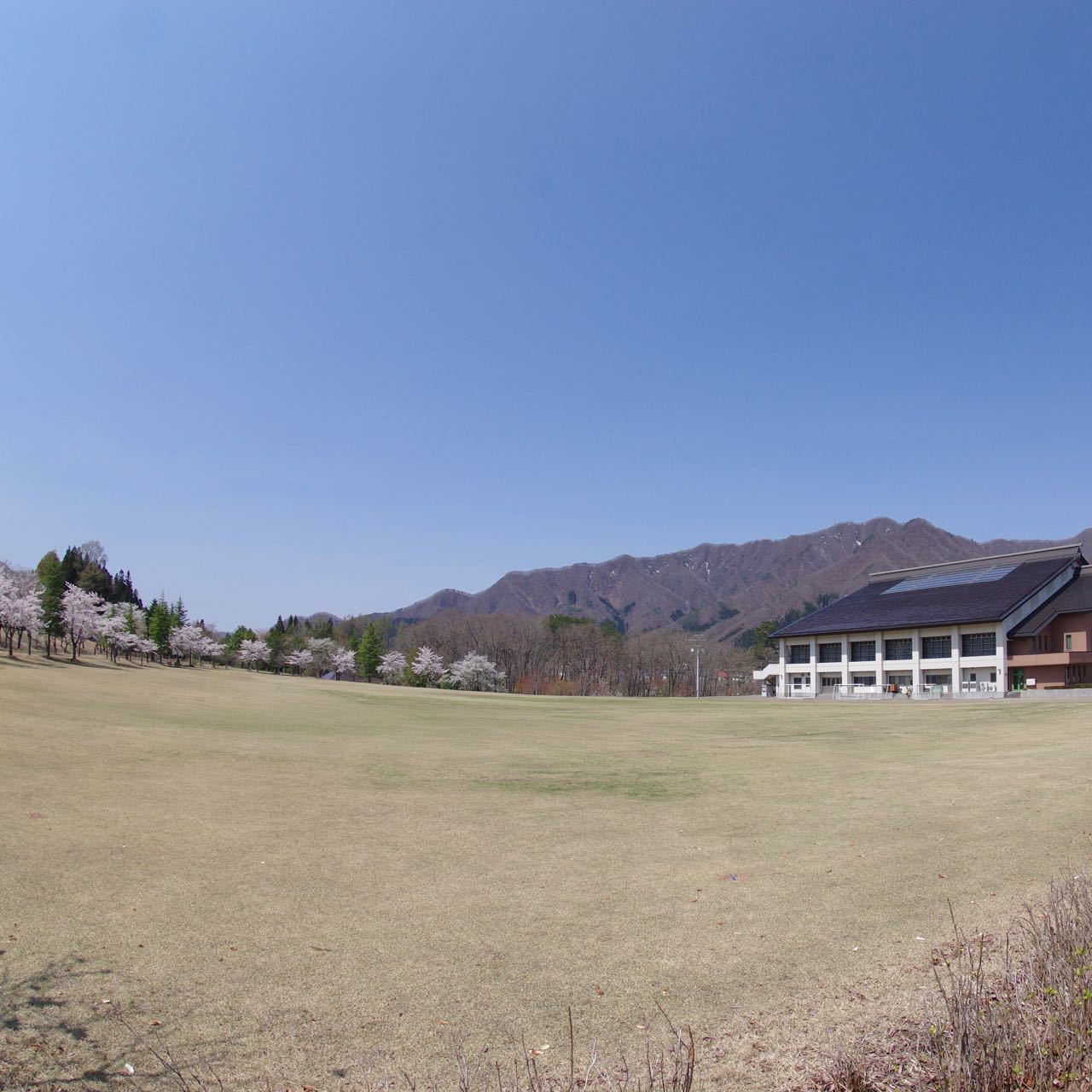 b0168516_21155191.jpg