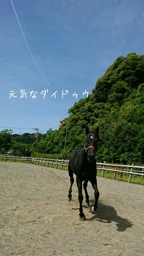 b0187620_20550137.jpg