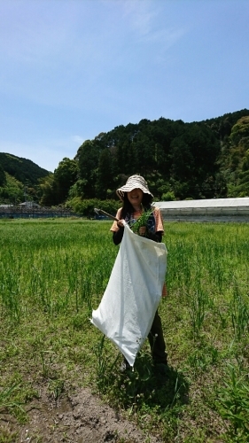 b0187620_20551388.jpg