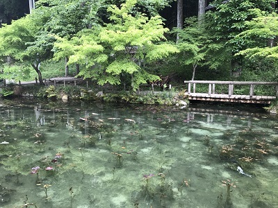 c0227720_23344312.jpg