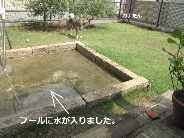 f0143123_10160719.jpg