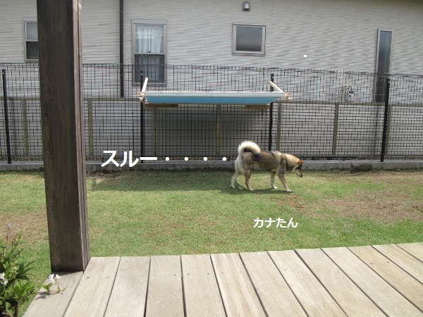 f0143123_10161490.jpg