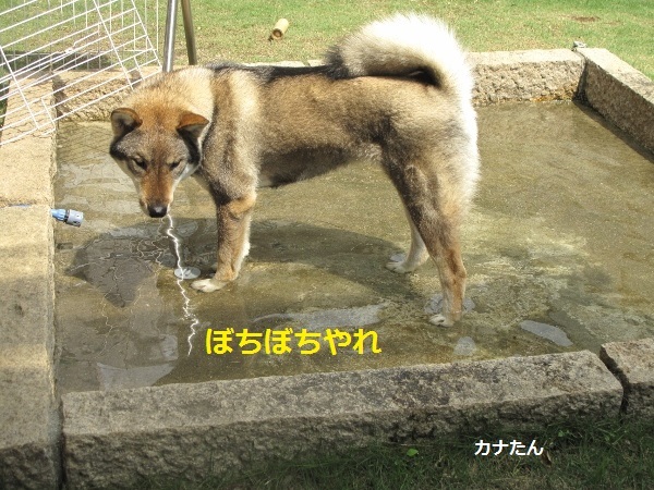 f0143123_10162011.jpg
