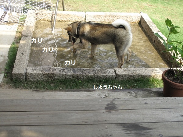 f0143123_10212331.jpg