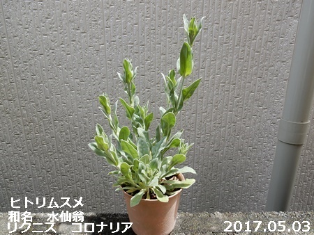e0033229_19351837.jpg