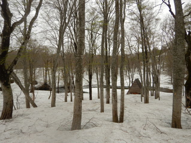 f0118332_01584187.jpg