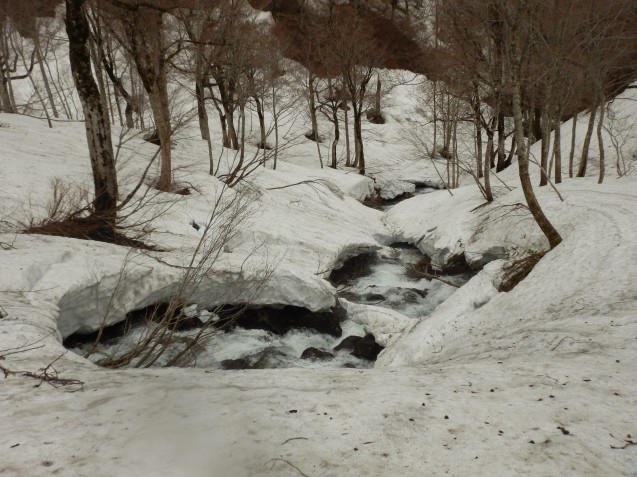f0118332_01595853.jpg