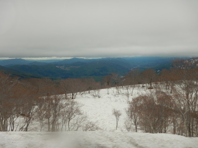 f0118332_02001525.jpg