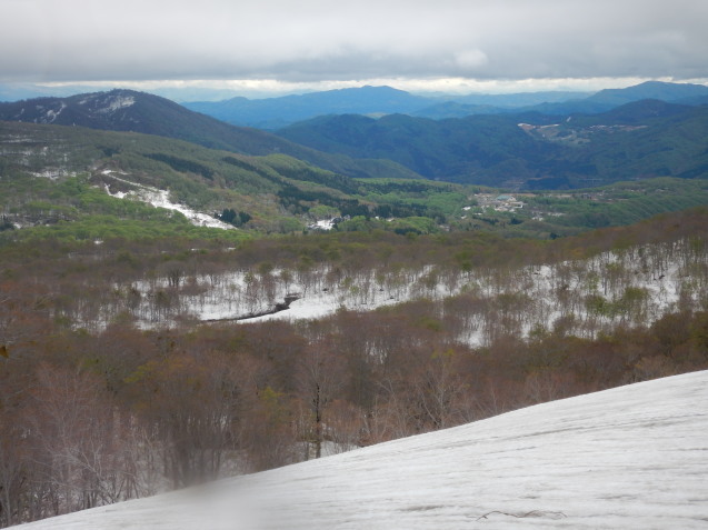 f0118332_02004104.jpg