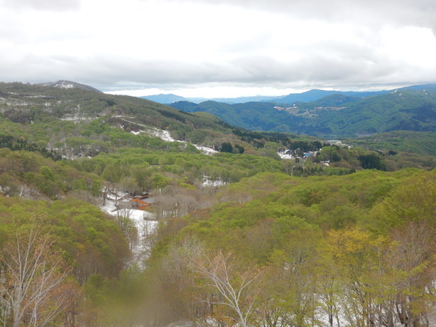 f0118332_02013353.jpg