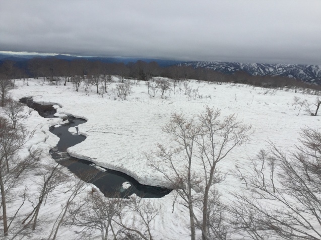 f0118332_02021282.jpg