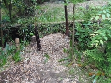 c0147935_19525744.jpg