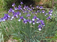 c0147935_20025015.jpg