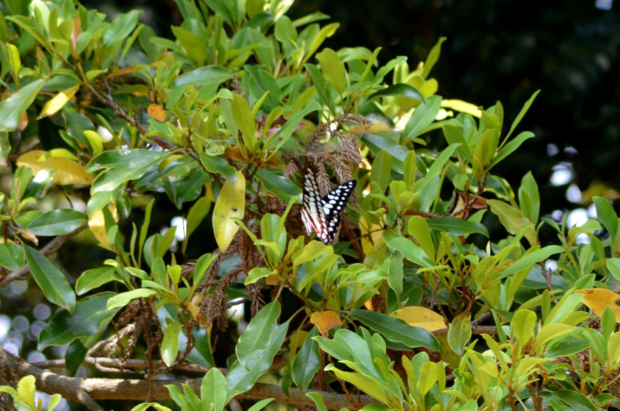 d0254540_15191455.jpg