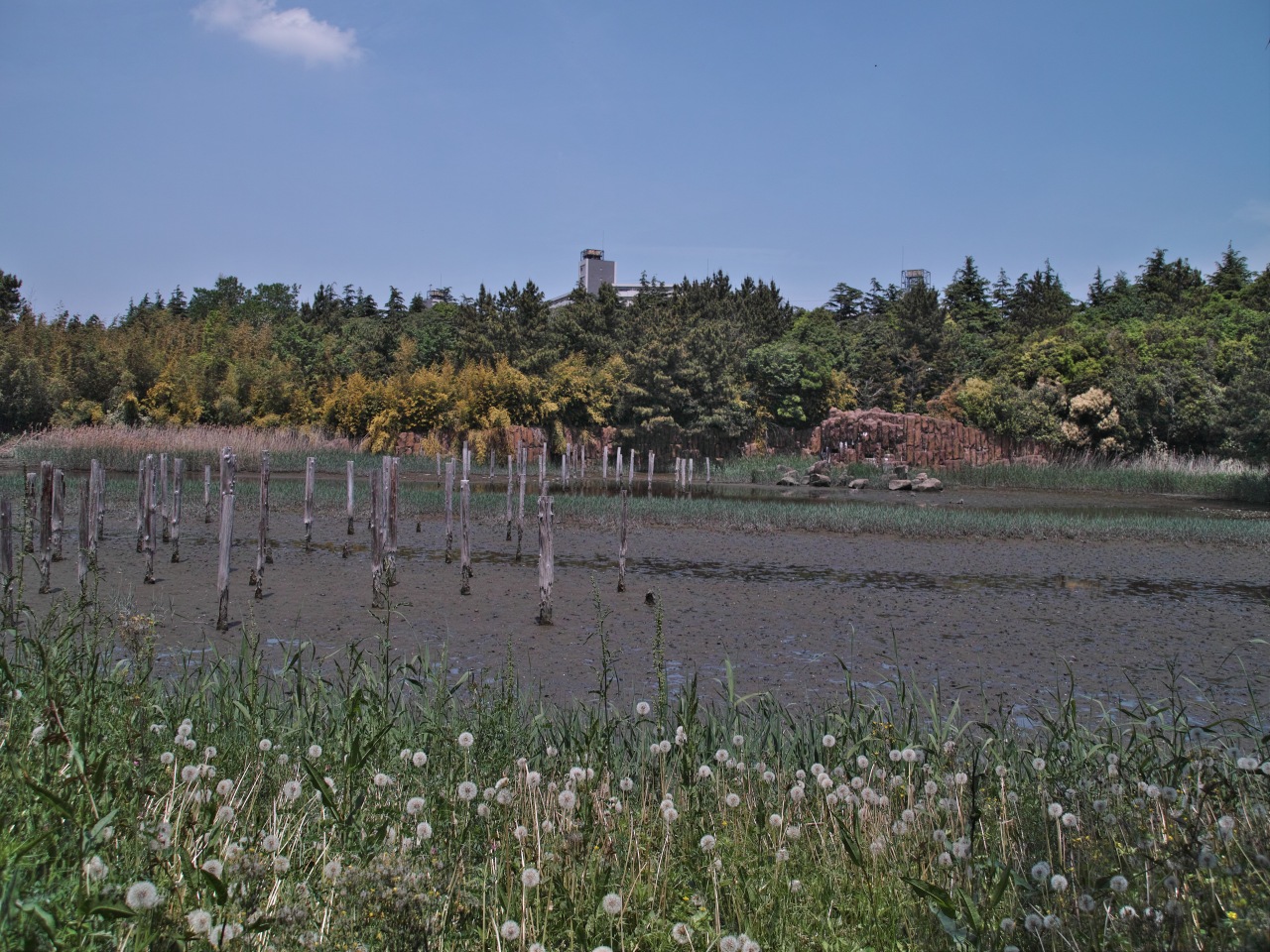c0008948_13461055.jpg