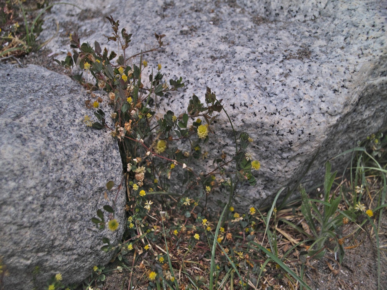 c0008948_1611887.jpg