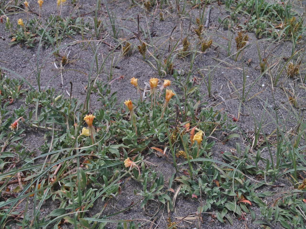 c0008948_16291882.jpg