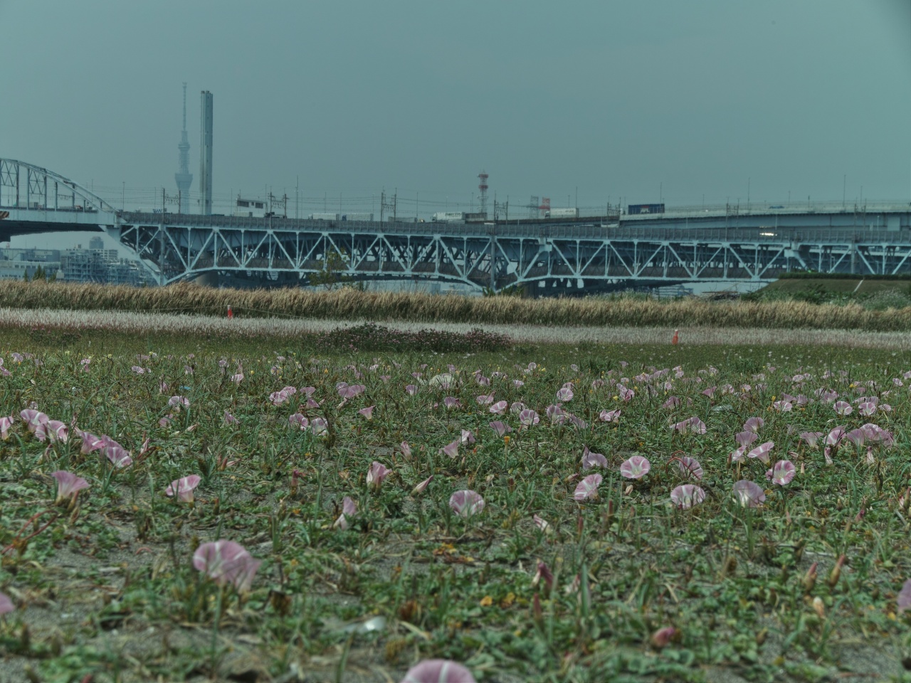 c0008948_164052.jpg