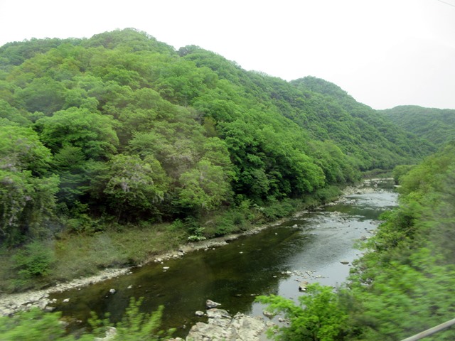 b0009849_1643388.jpg