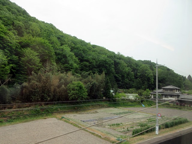b0009849_16471177.jpg